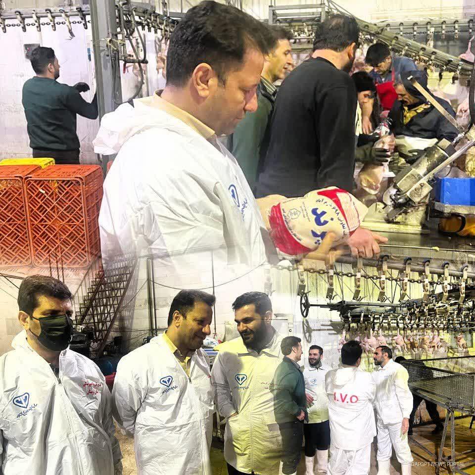 بازدید شبانه مدیرکل دامپزشکی لرستان از «کشتارگاه طیور پرند» شهرستان خرم آباد