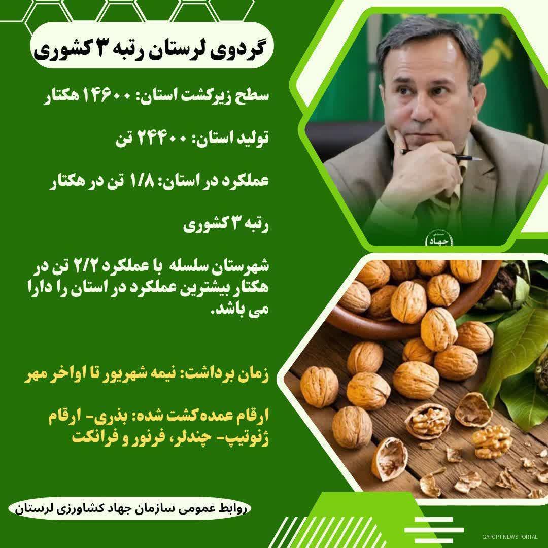 رتبه سوم لرستان در تولید گردوی کشور